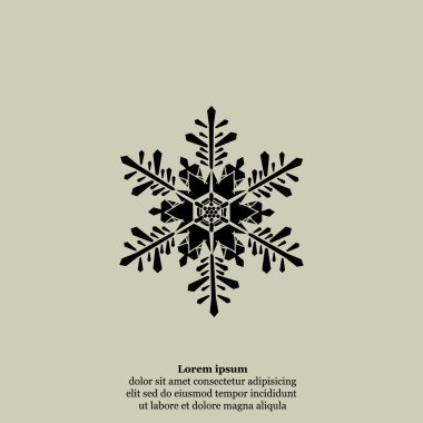 kış kar tanesi simgesi