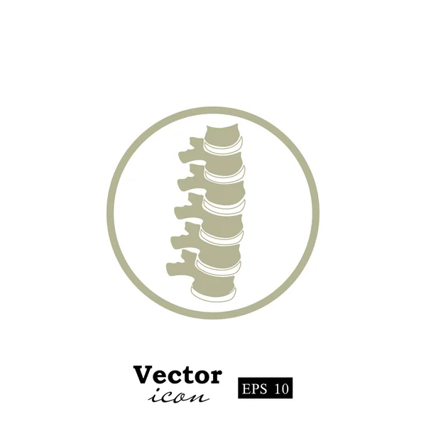 Human spine icon — Stock Vector
