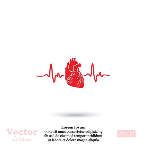 Icône de l'électrocardiogramme cardiaque — Image vectorielle