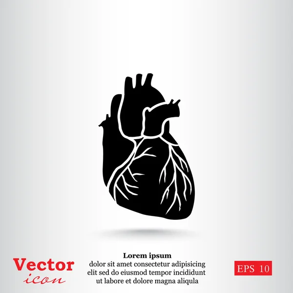 Ícone de órgão cardíaco humano — Vetor de Stock