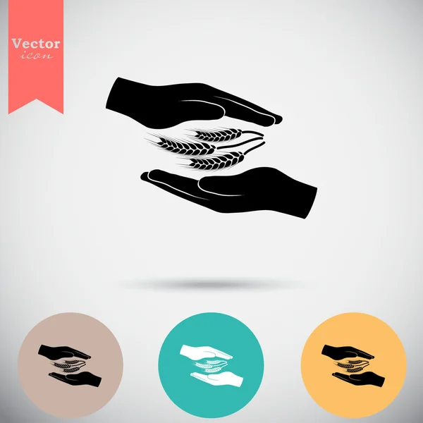 Épis de blé dans les mains icônes — Image vectorielle