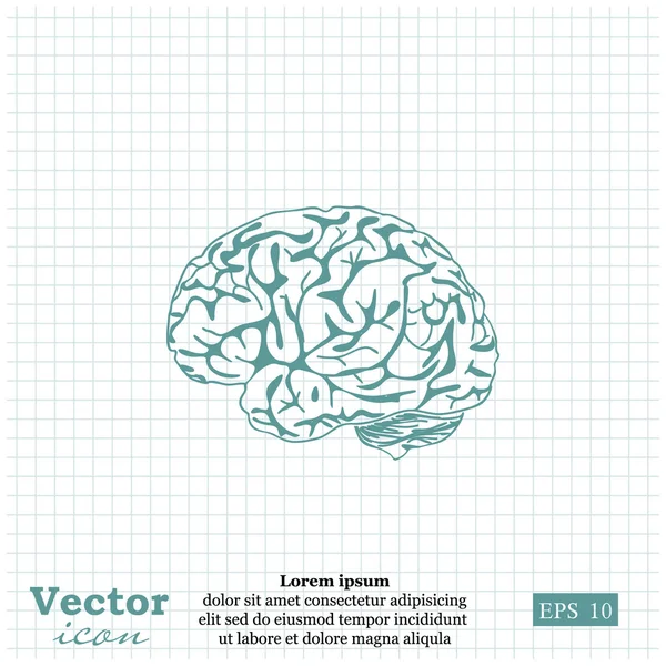 Ikona lidského mozku — Stockový vektor