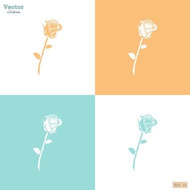 Gül çiçek simgeleri