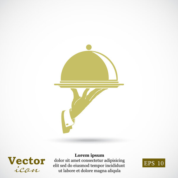 рука с иконкой лотка
