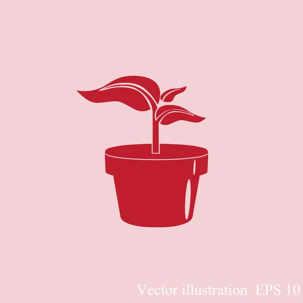 Pflanze im Blumentopf — Stockvektor