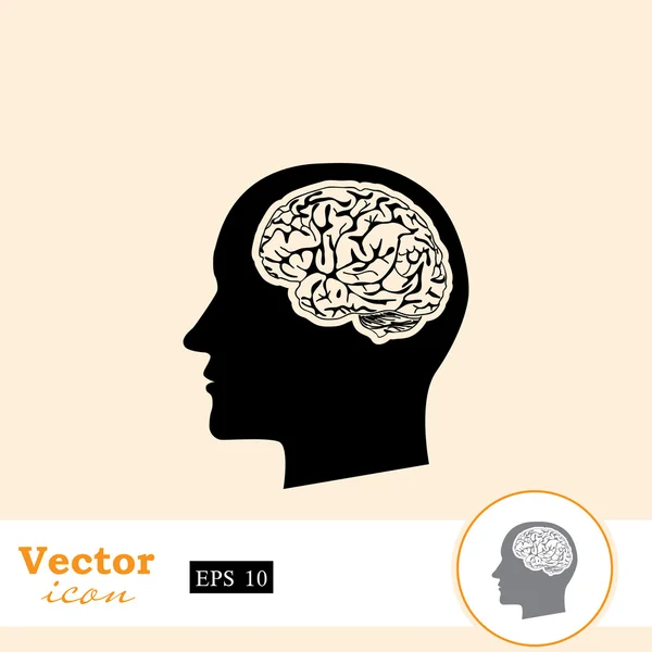 Lidský mozek v hlavě ikony — Stockový vektor