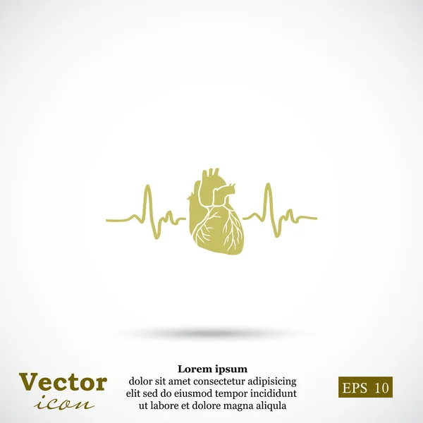 Ikon kardiogram jantung - Stok Vektor