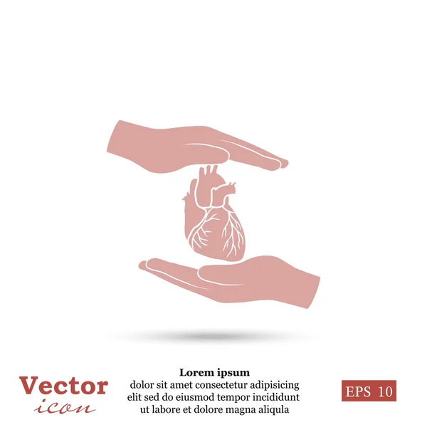 Corazón humano en las manos icono — Vector de stock