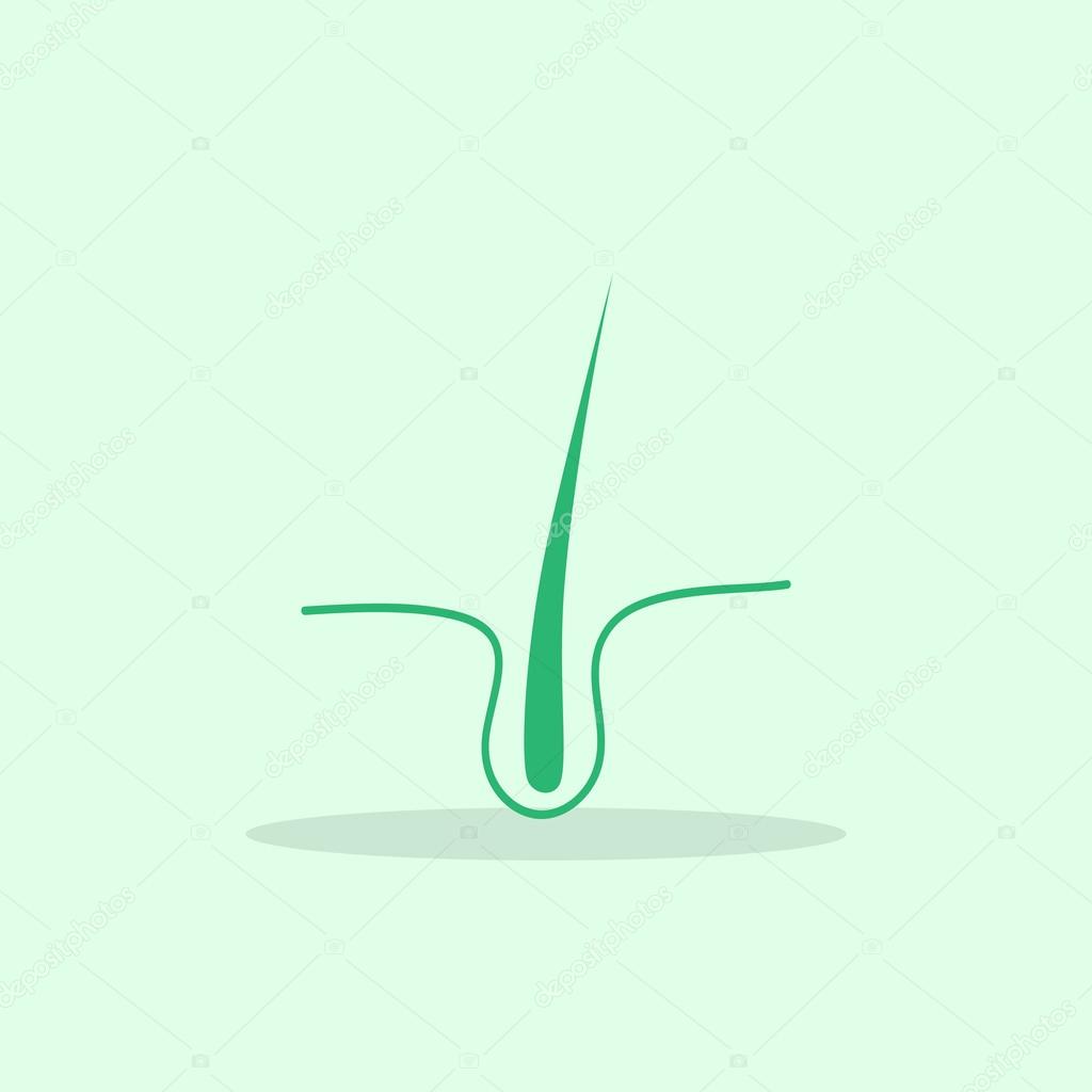 Human hair, follicle icon. vector illustration
