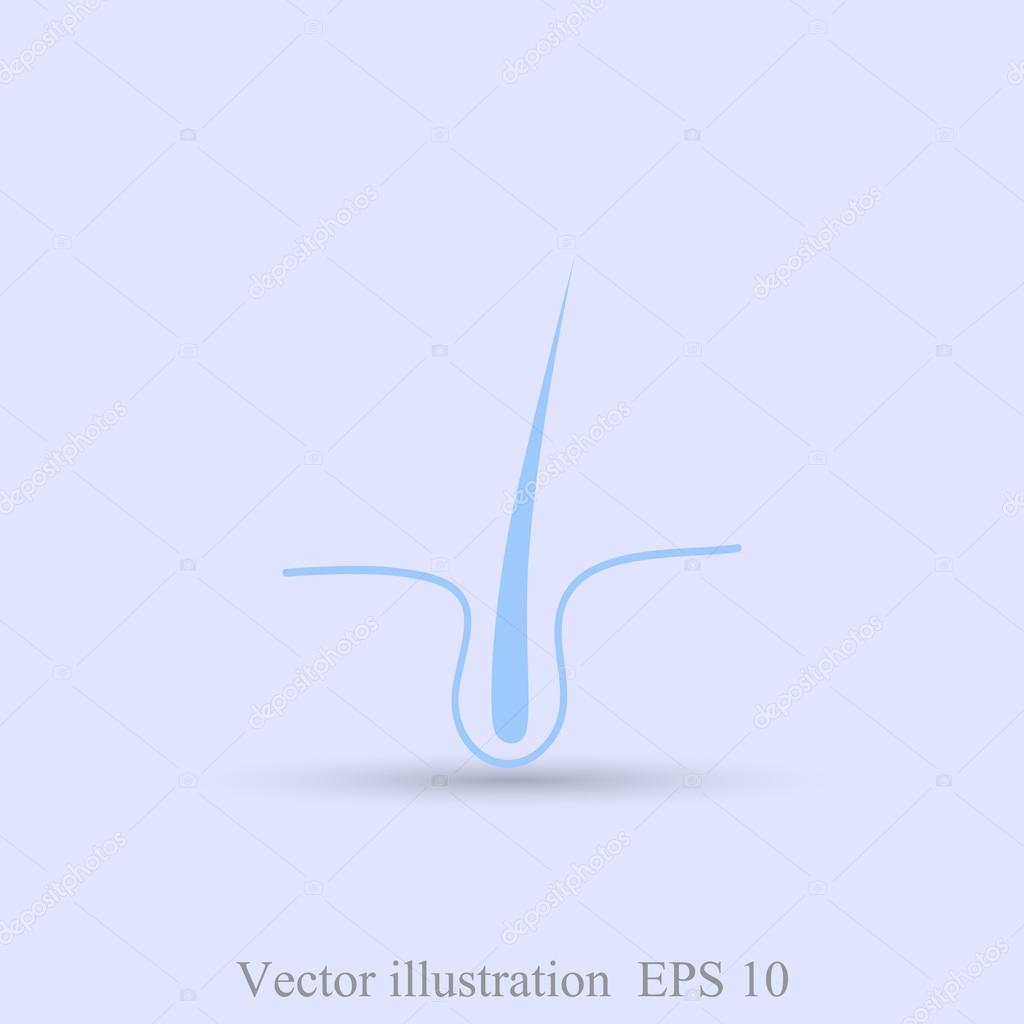 Human hair, follicle icon. vector illustration