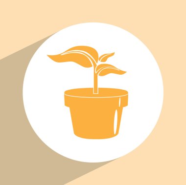 saksı kutsal kişilerin resmi içinde bitki