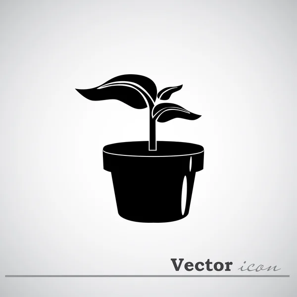 Planta no ícone vaso de plantas — Vetor de Stock