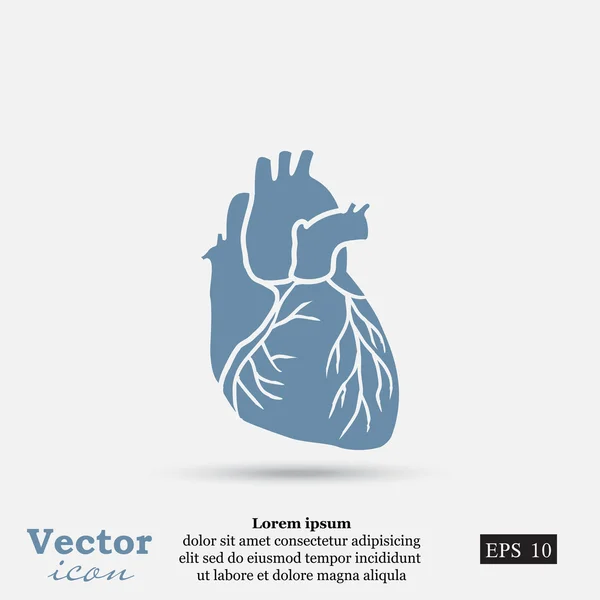 Ikon jantung manusia - Stok Vektor