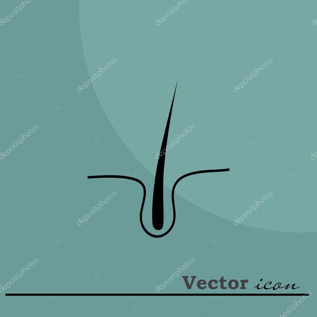 Human hair, follicle icon. vector illustration