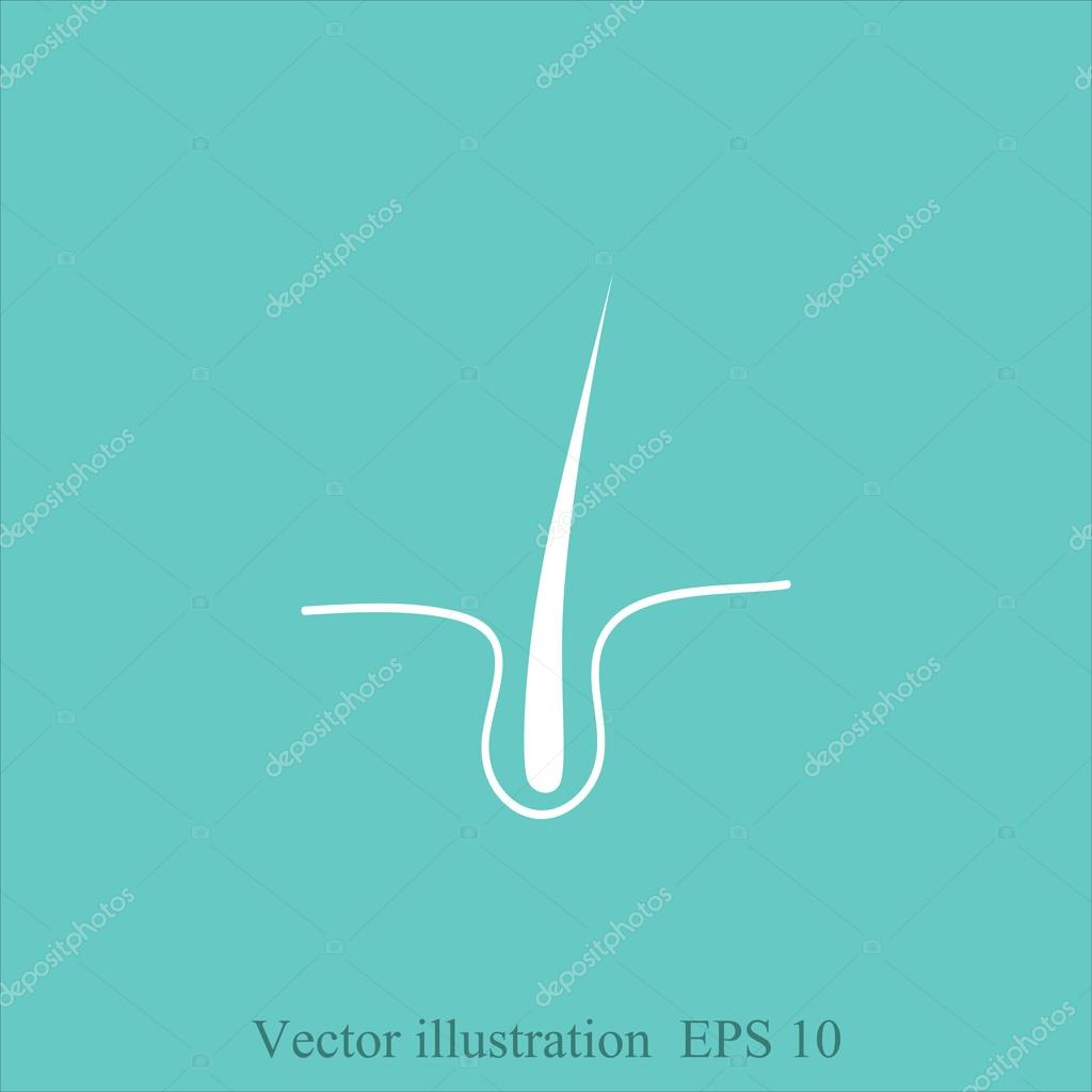 Human hair, follicle icon. vector illustration