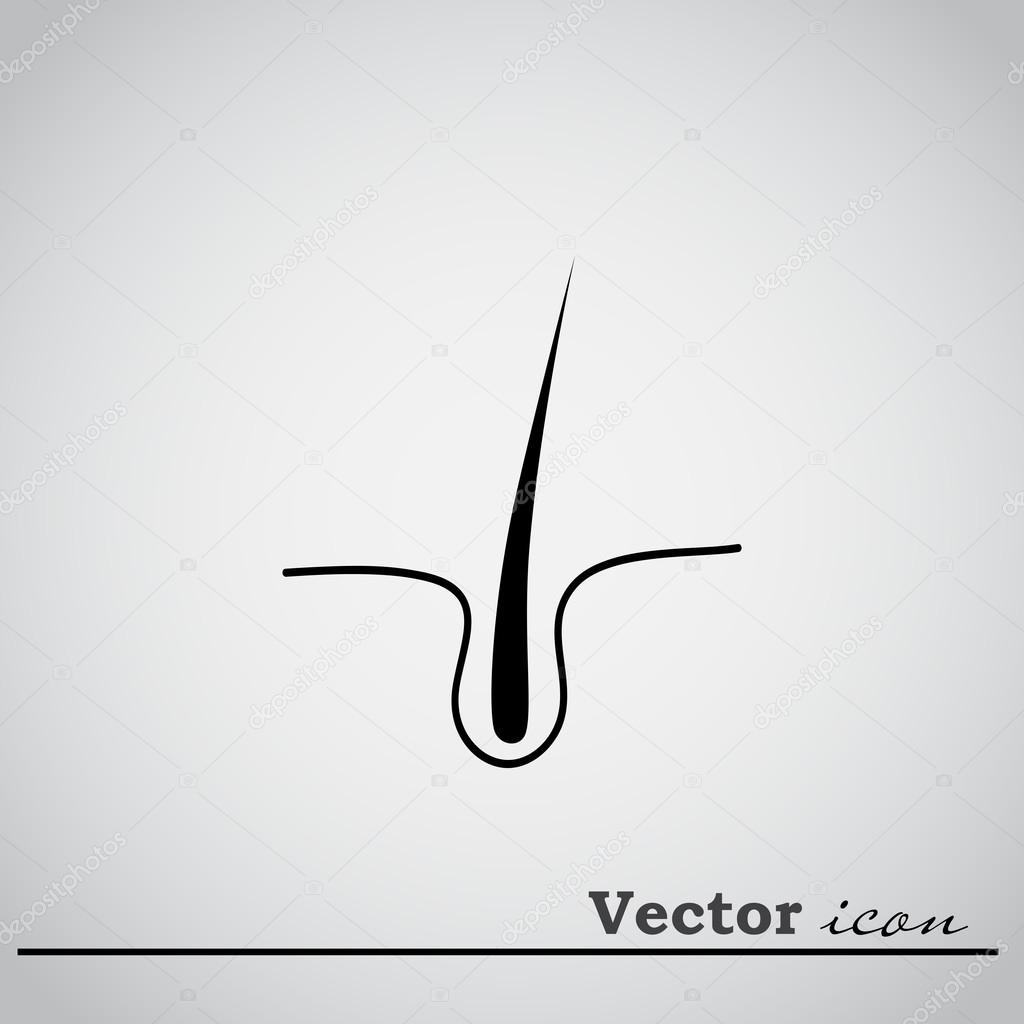 One hair in epidermis icon, on grey background