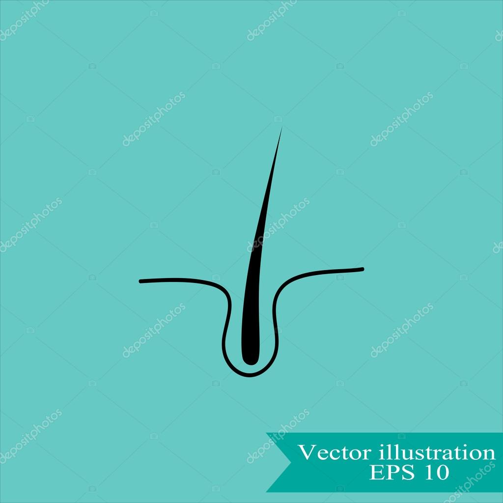 Human hair, follicle icon. vector illustration