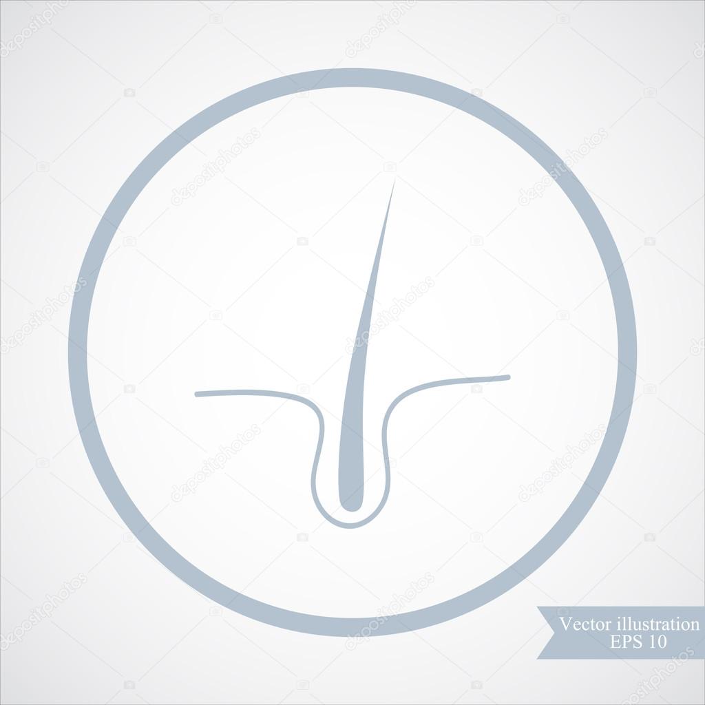 Human hair, follicle icon. vector illustration