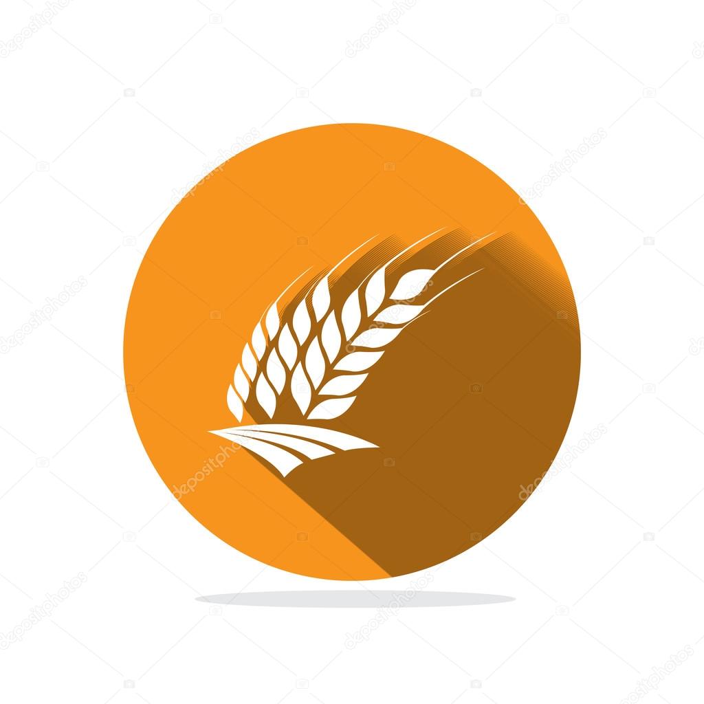 wheat spikelets icon