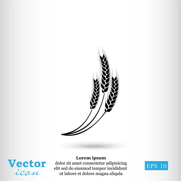 Wheat spikelets icon — Stock Vector