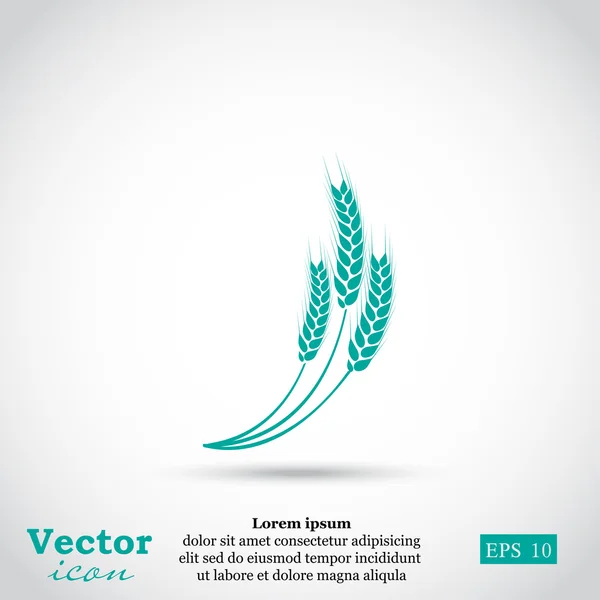 Épillets de blé icône — Image vectorielle