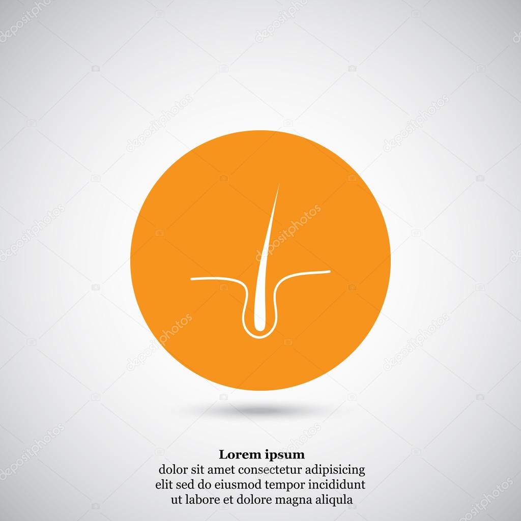 Growing human hair icon