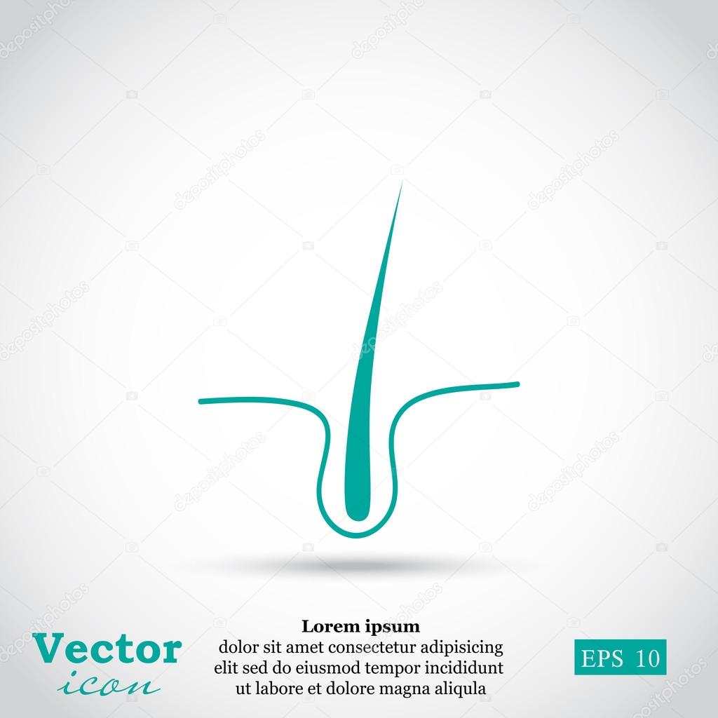 Growing human hair icon