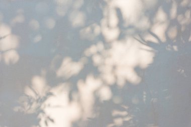 Ormanda parlayan güneşin gölgesi