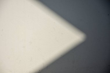 Ormanda parlayan güneşin gölgesi