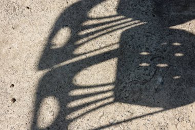 Ormanda parlayan güneşin gölgesi