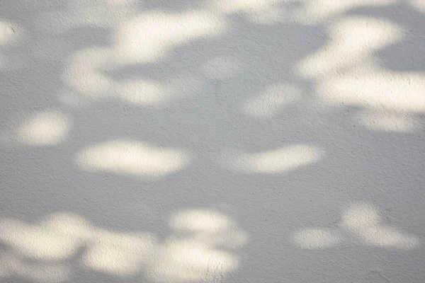 Shadow Background Sun Shining Wood — Stock Fotó