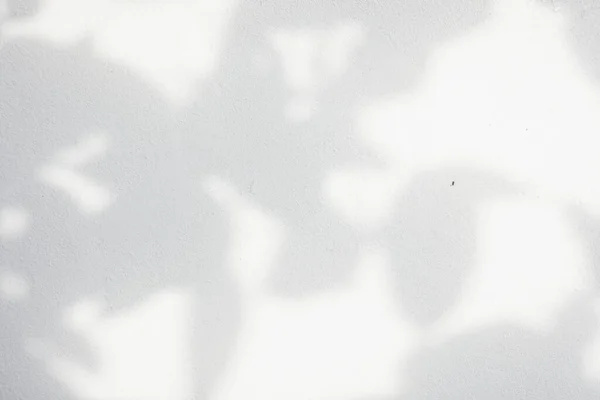 Σκιά Φόντο Του Ήλιου Λάμπει Μέσα Από Ξύλο — Φωτογραφία Αρχείου