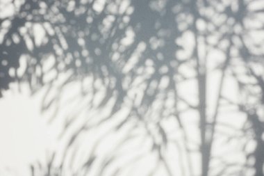 Ormanda parlayan güneşin gölgesi