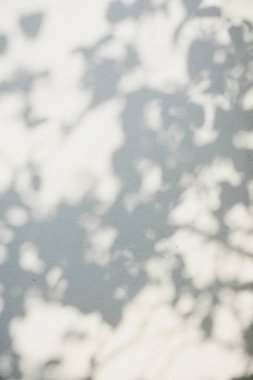 Ormanda parlayan güneşin gölgesi