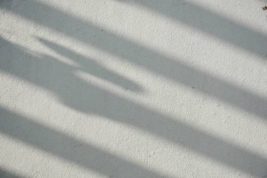 Ormanda parlayan güneşin gölgesi