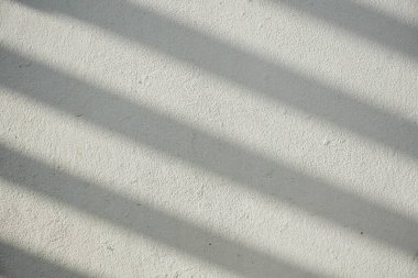 Ormanda parlayan güneşin gölgesi