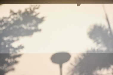 Ormanda parlayan güneşin gölgesi