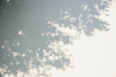 Ormanda parlayan güneşin gölgesi