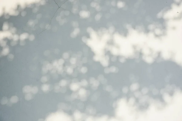 Ombre Fond Soleil Brille Travers Bois — Photo