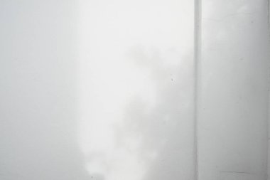 Ormanda parlayan güneşin gölgesi