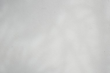 Ormanda parlayan güneşin gölgesi