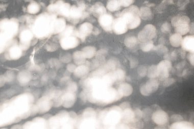 Ormanda parlayan güneşin gölgesi