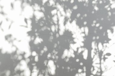 Ormanda parlayan güneşin gölgesi