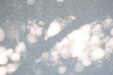 Ormanda parlayan güneşin gölgesi