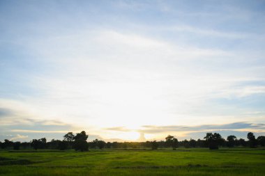 Parlak turuncu gökyüzü ve güneşin ışığı.