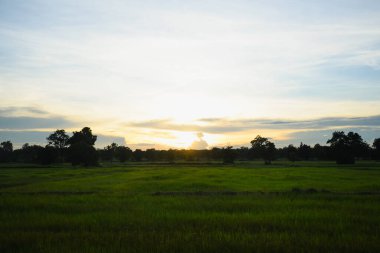 Binanın yakın plan fotoğrafı.