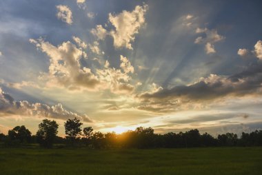 Güneş ağaçların ve tarlaların üzerinde dramatik, çizgili gökyüzüyle batıyor.