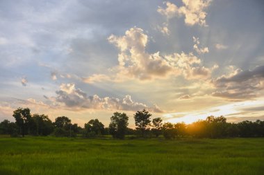 Güneş ağaçların ve tarlaların üzerinde dramatik, çizgili gökyüzüyle batıyor.