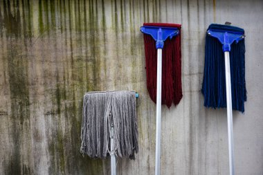 Üç renkli başlık, lekeli ve kirli bir duvara asılmış küf izleriyle..