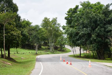 Ağaçlık bir parkta trafik konileri olan dolambaçlı bir yol..
